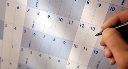 organization-and-scheduling