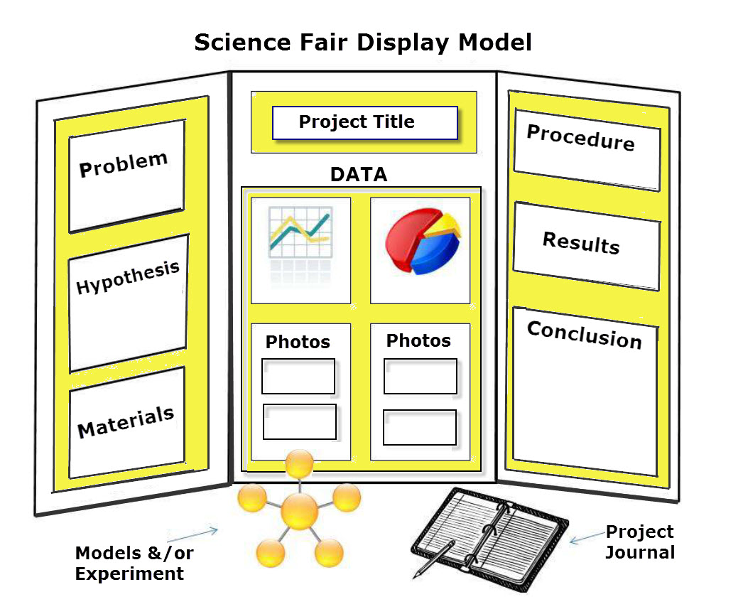 science board layout